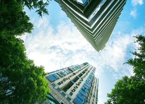 2019年,北京房地產(chǎn)市場充滿變革與挑戰(zhàn)